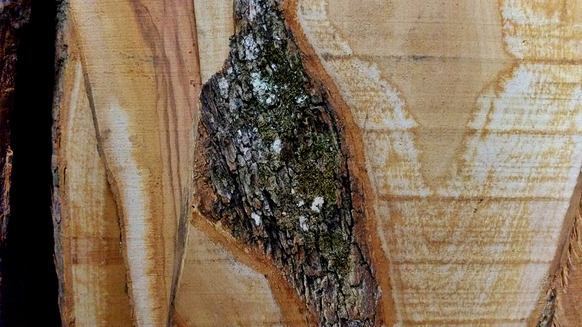 artigiani7
